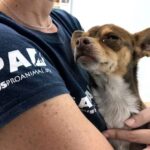 Centros de salud en el mundo sin agua; alerta OMS por peligro ante Covid-19