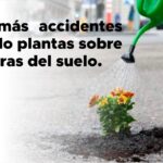 Senado legitimó los Pagarés Electrónicos en Operaciones Comerciales