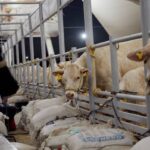 Congreso nayarita promete analizar la despenalización del aborto