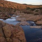 Senado citará al titular del INM: Ricardo Monreal