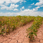 Viene el ‘Clásico Nacional’ y América se queda sin entrenador