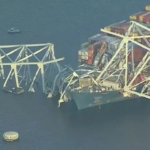 Incendios forestales arrasa con más de 620 hectáreas en Veracruz