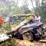 El Dinamismo de la Liga MX: Gilberto Mora y Xolos Revolucionan el Fútbol Europeo