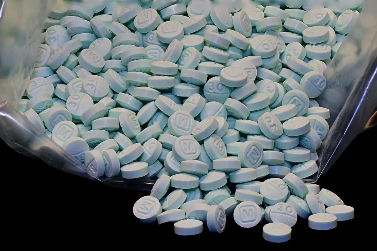 NYT: EU presiona a México para permitir operativos militares vs fentanilo